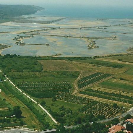 Apartmán Apartmaji In Vinogradnistvo Klobas Sečovlje Exteriér fotografie