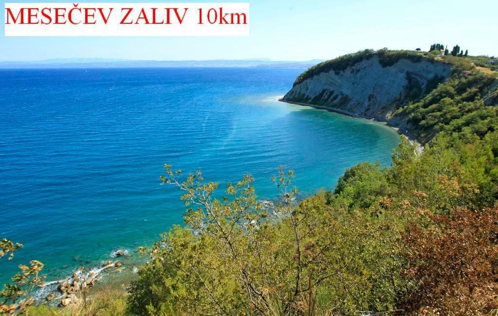 Apartmán Apartmaji In Vinogradnistvo Klobas Sečovlje Exteriér fotografie